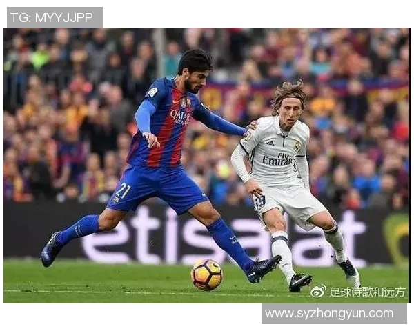 荷兰足球明星17号的传奇之路与辉煌成就解析